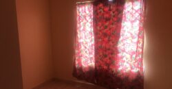 Single House Dawn Park